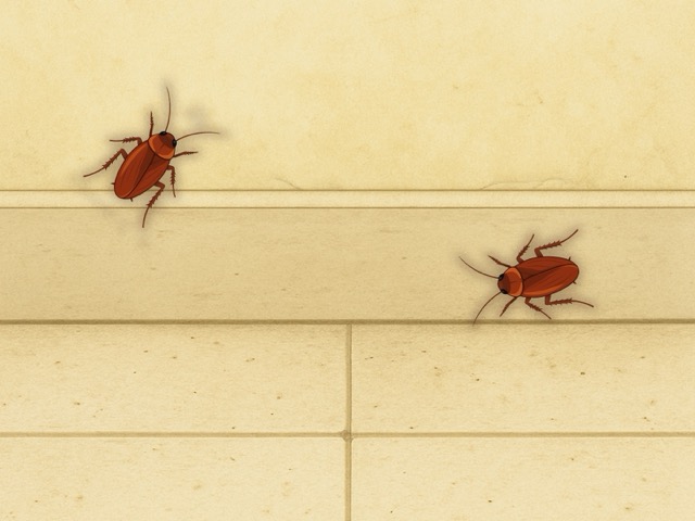 Cockroach Game