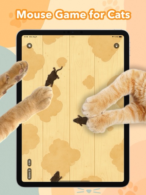 Games for Cats iPad Screenshot 4