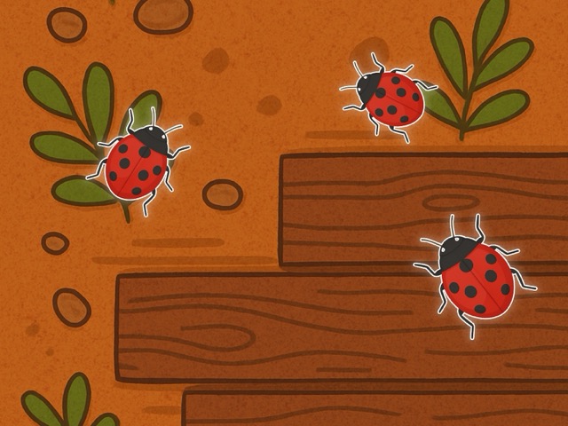 Ladybug Game