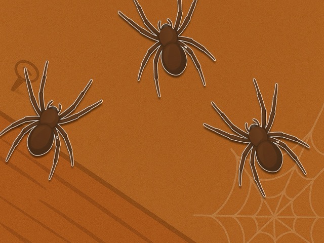 Spider Game