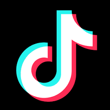 TikTok - Follow @app.catgames
